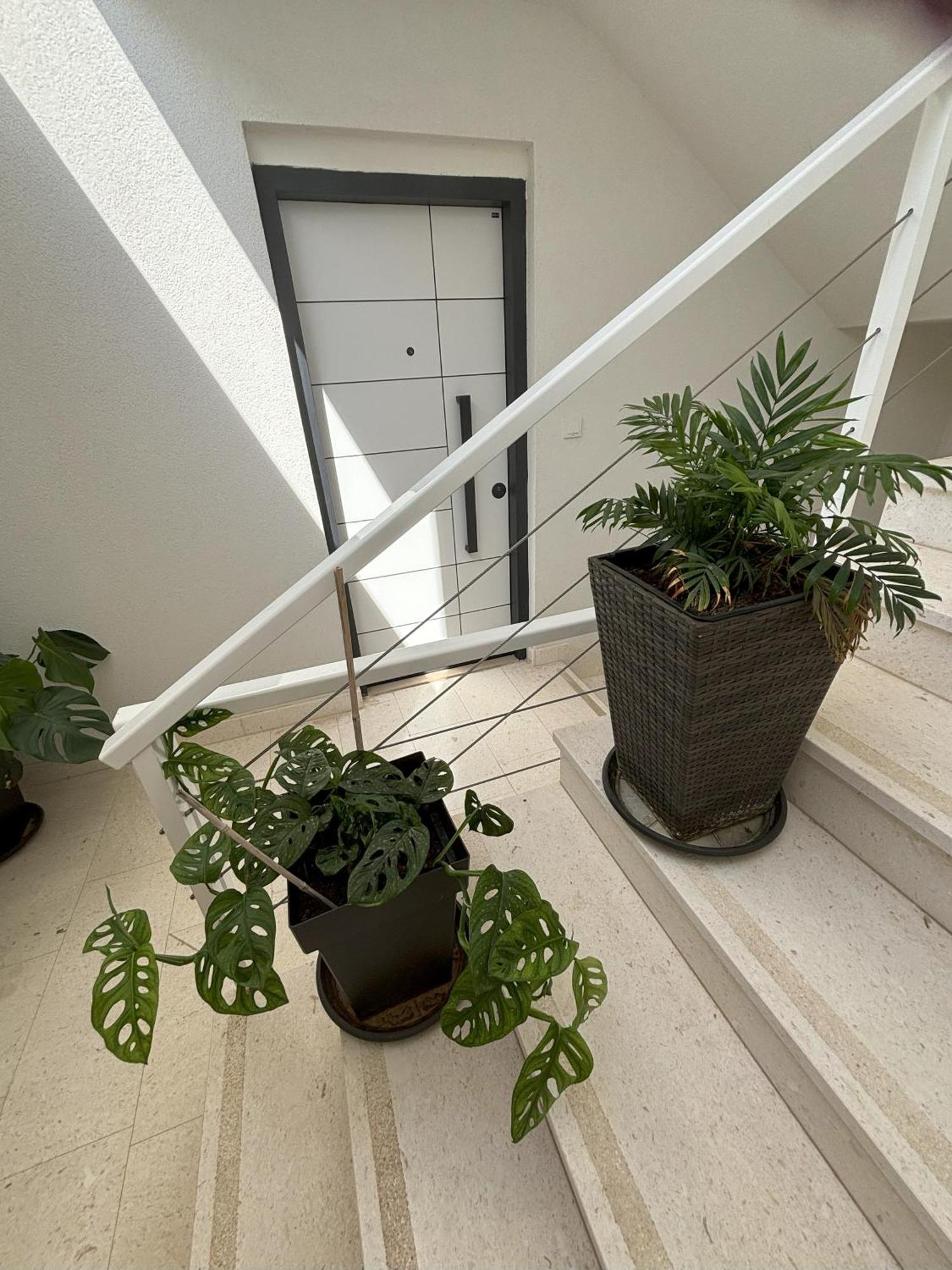 Vila Regina Apartment Regina With Swimming Pool イェゼラ エクステリア 写真